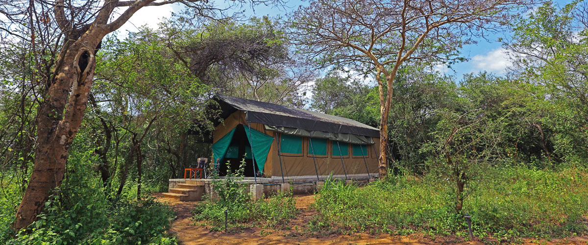 camp Wilpattu Sri Lanka