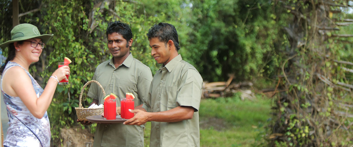 camp Wilpattu Sri Lanka