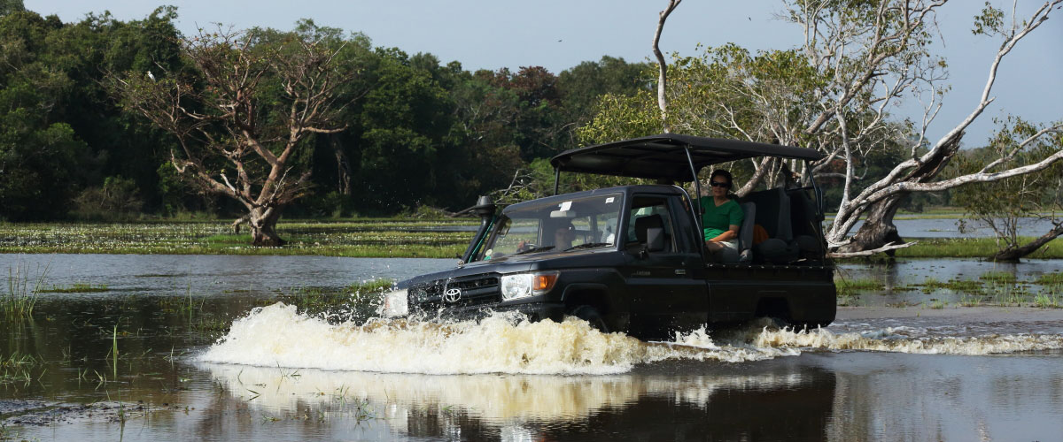 Who you will meet at Camp Wilpattu Sri Lanka