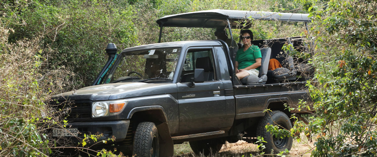 Who you will meet at Camp Wilpattu Sri Lanka