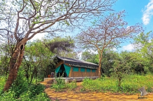 wilpattu safari camp