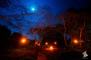 wilpattu safari camp