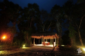 wilpattu safari camp