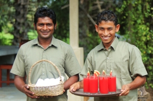 wilpattu safari camp