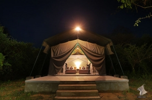 wilpattu safari camp