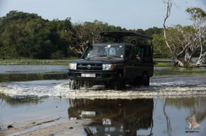 wilpattu safari camp