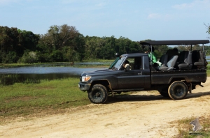 wilpattu safari camp