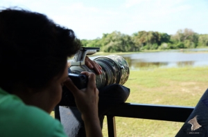 wilpattu safari camp